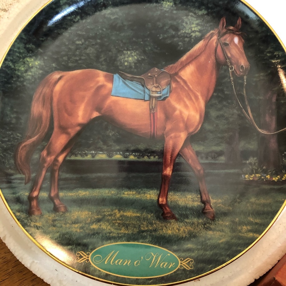 Decorative horse plate